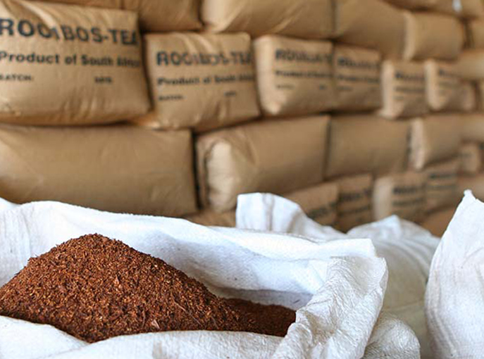Our Rooibos Farm and Factory